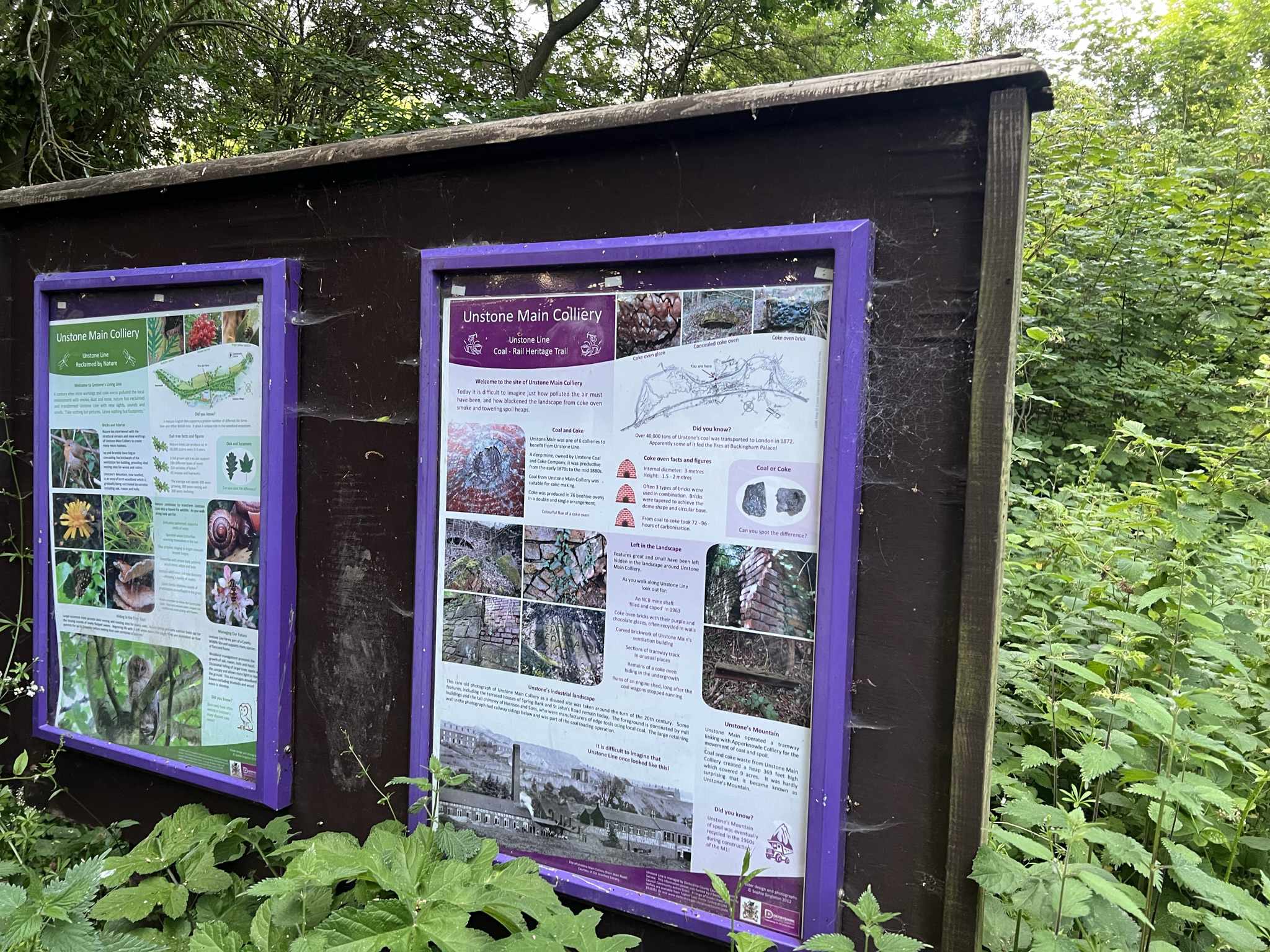 Apperknowle Circular (8th June 2023) – Dronfield Footpaths