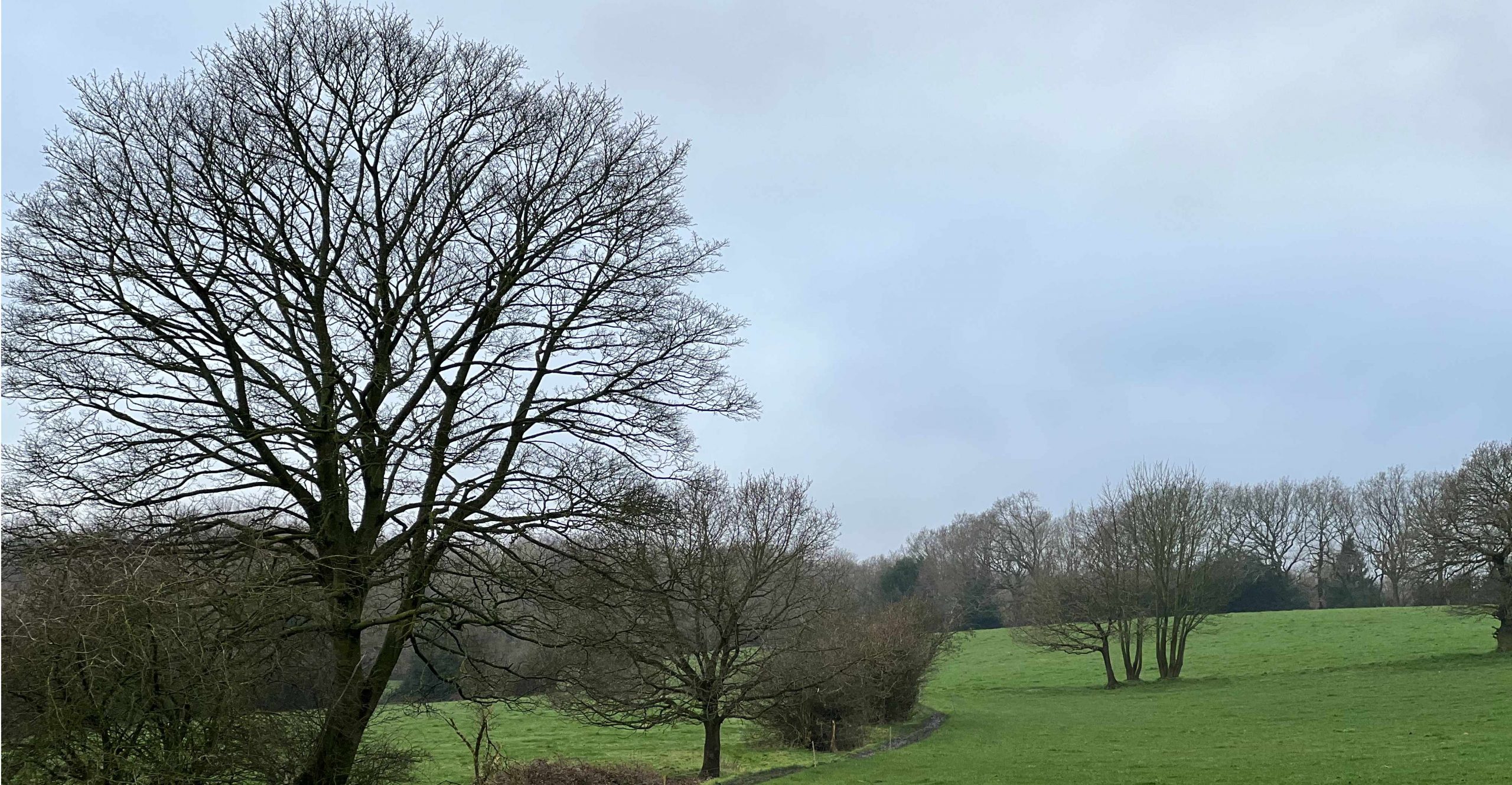 Monk Wood and Cowley Circular (17th February 2024)