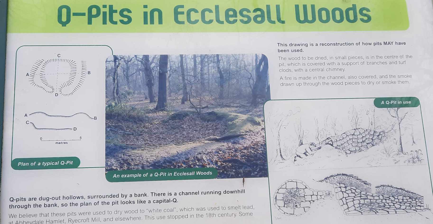 Ecclesall Woods Circular (19th March 2024)