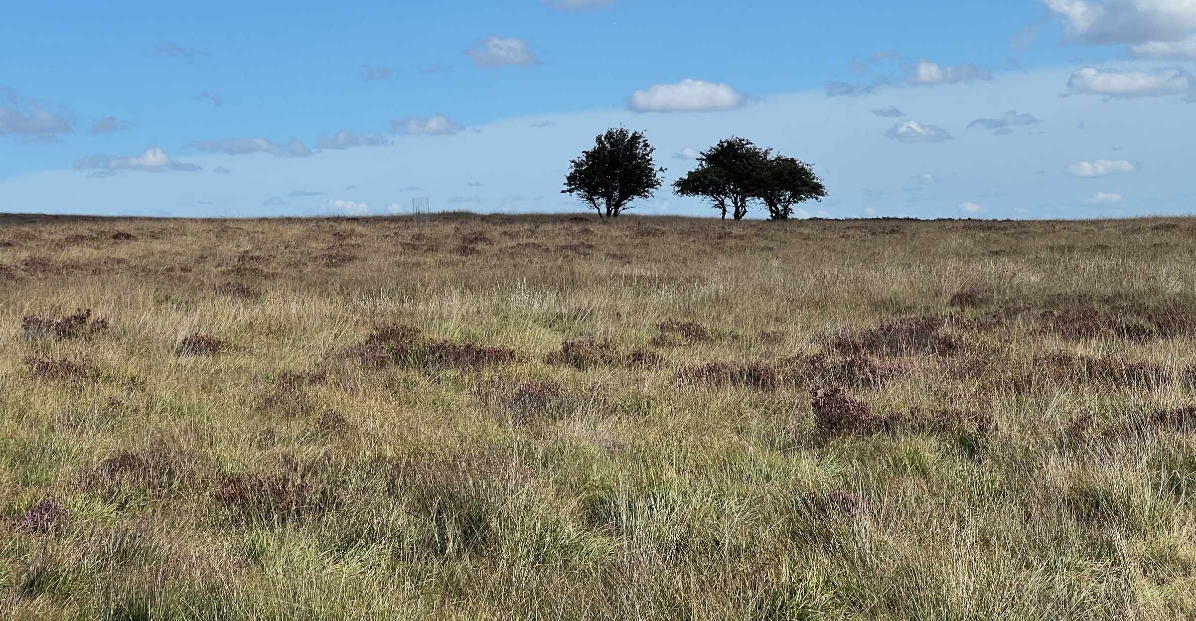Big Moor Circular (9th September 2025)