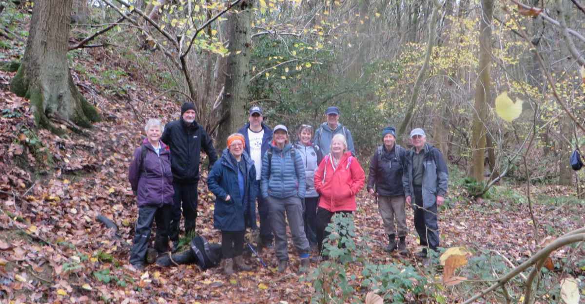 Barlow Grange Circular (11th November 2025)